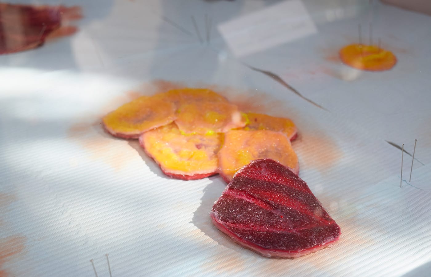 Doreen Garner, "Flora: Viscera" (2016, detail), silicone and mixed media, dimensions variable