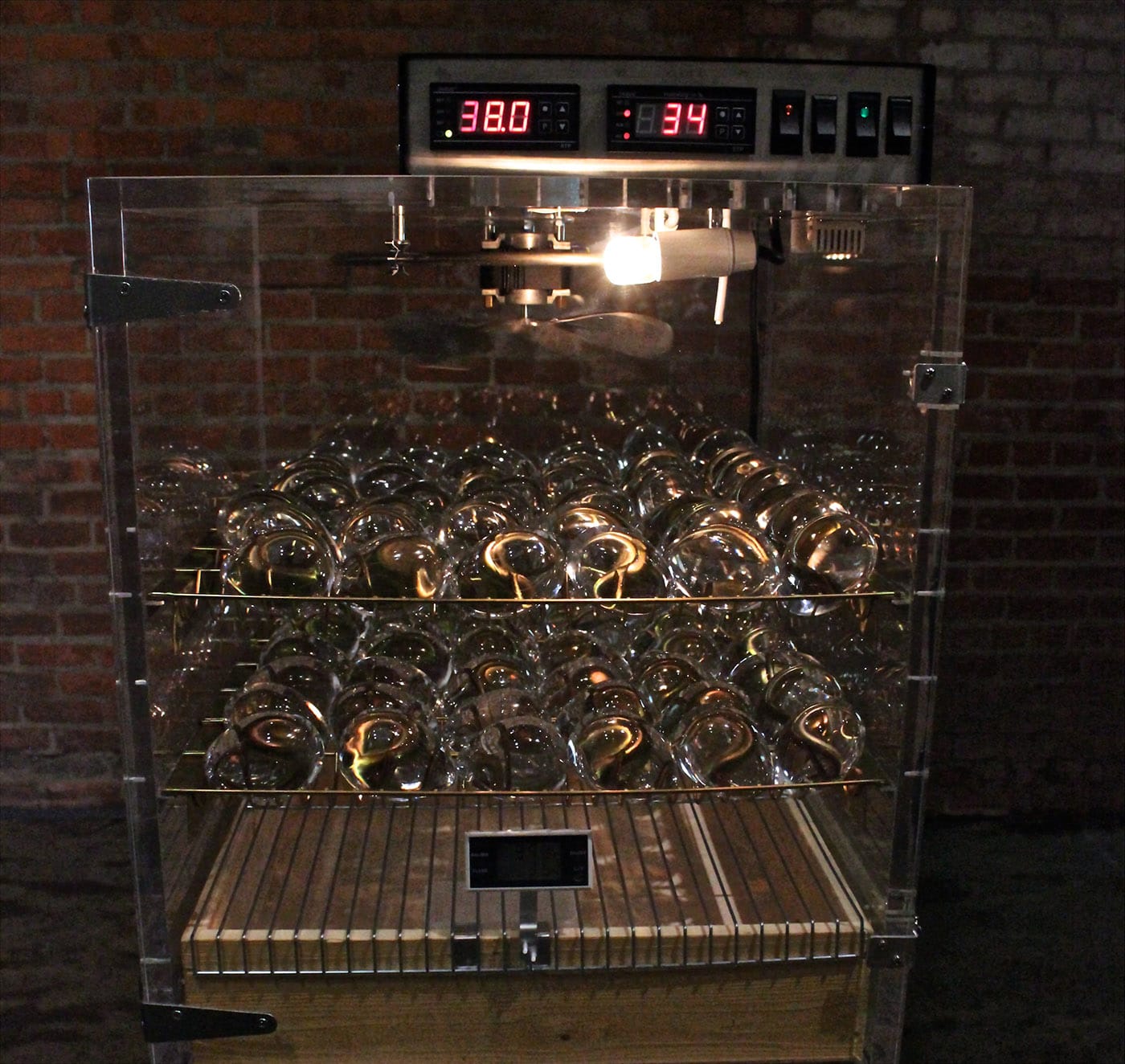 An art-incubator, housing glass eggs. 