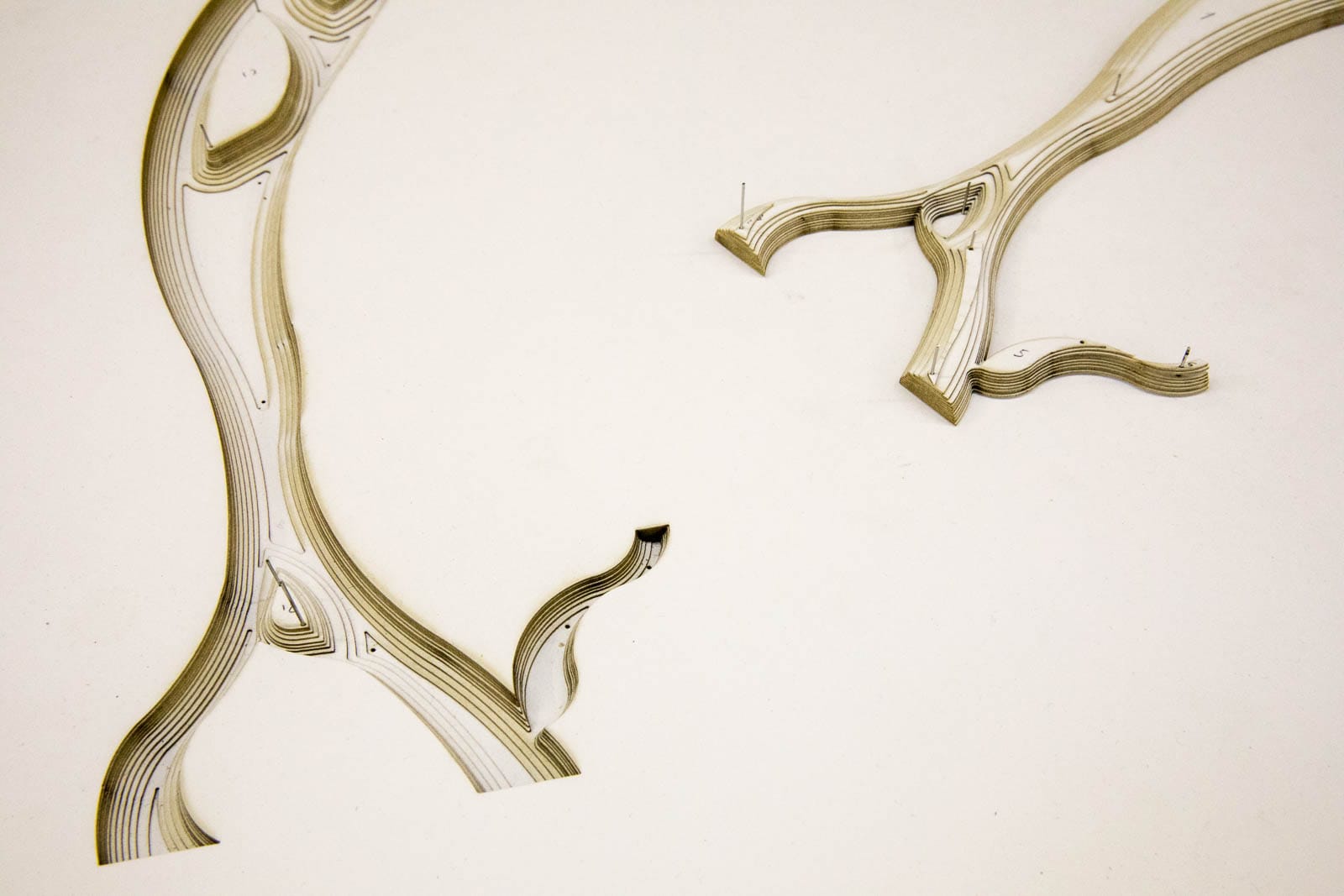 Detail of a piece by Miler Lagos, The great tree of Water, from Greycube at The Buggy Factory