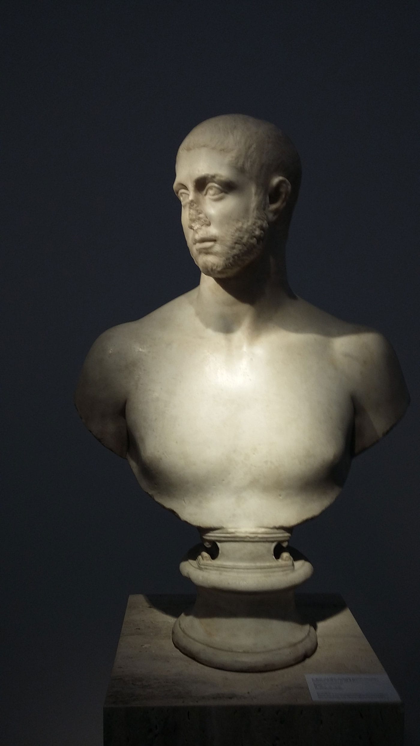 Bust of a Man, probably Severus Alexander, Roman (3rd century CE), marble at the booth of Galerie Chenel, Paris