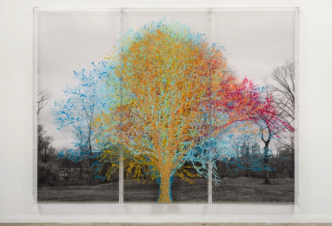 Charles Gaines, "Numbers and Trees: Central Park Series II: Tree #6, Fredrick" (2016), Black and white photograph, acrylic on plexiglass, 3 panels. overall approximately 95" x 127.50" x 5.75" (via vielmetter.com)