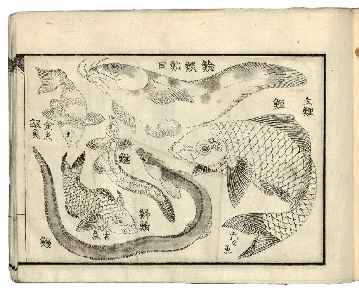 Katsushika Hokusai, from "Drawings for a Three-Volume Picture Book" (c.1823-33) (all photos © Museum of Fine Arts, Boston unless otherwise noted)