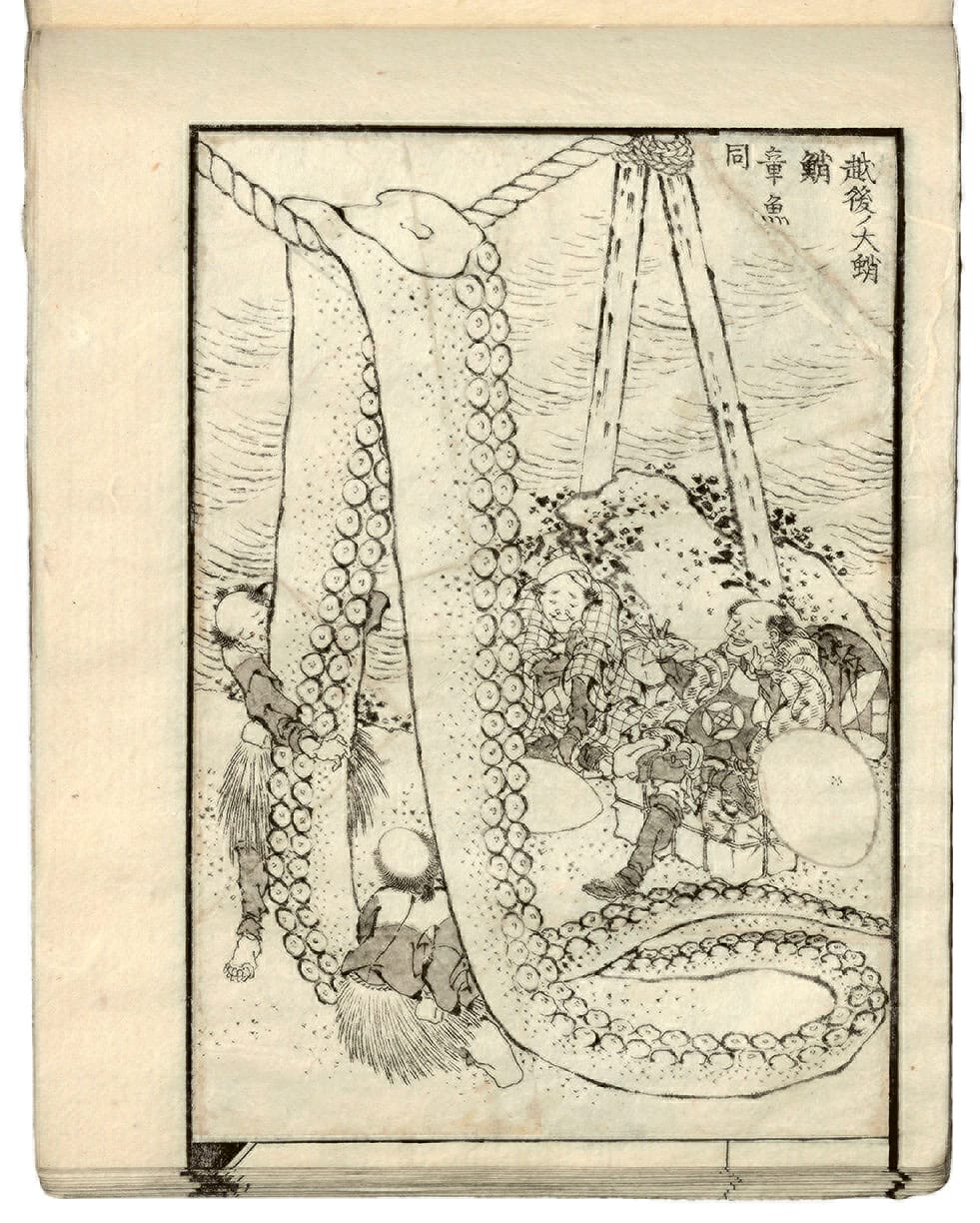 Katsushika Hokusai, from "Drawings for a Three-Volume Picture Book" (c.1823-33)