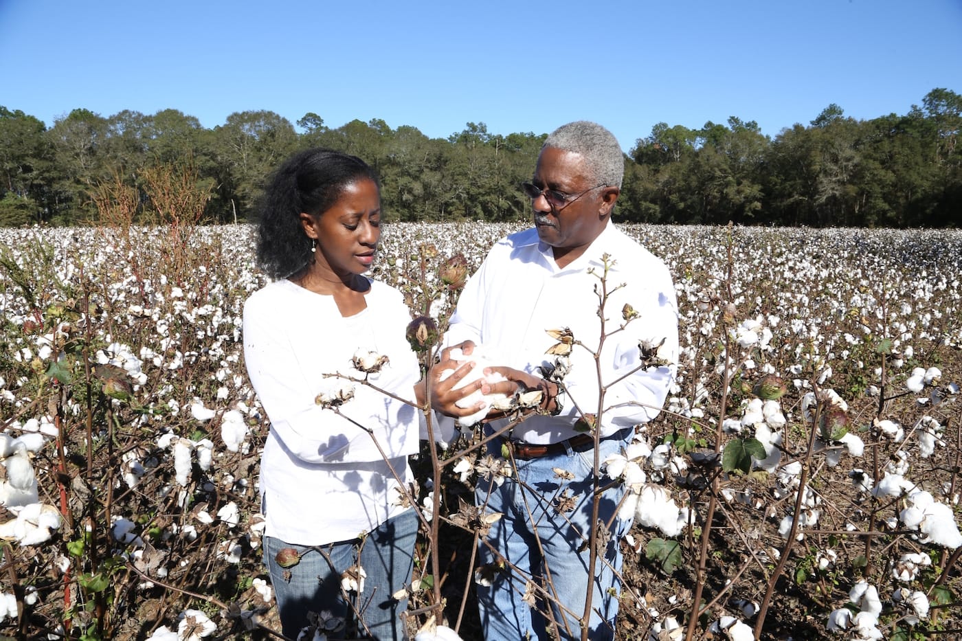 holly-bass-cotton2_bass_jeremy%20mines