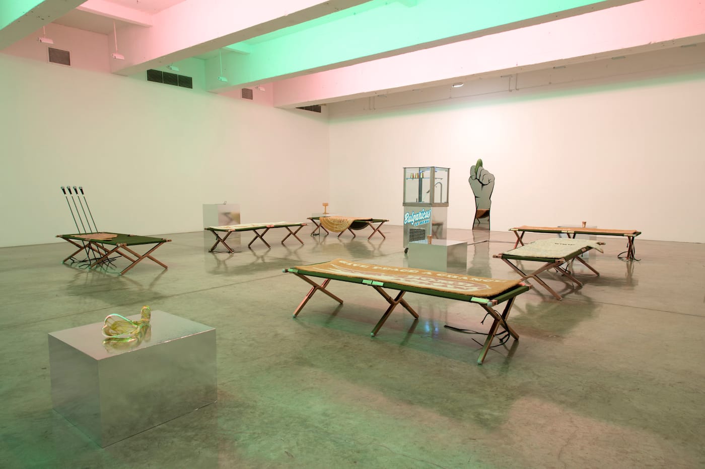 Slavs and Taters, "After Pasteur," installation view