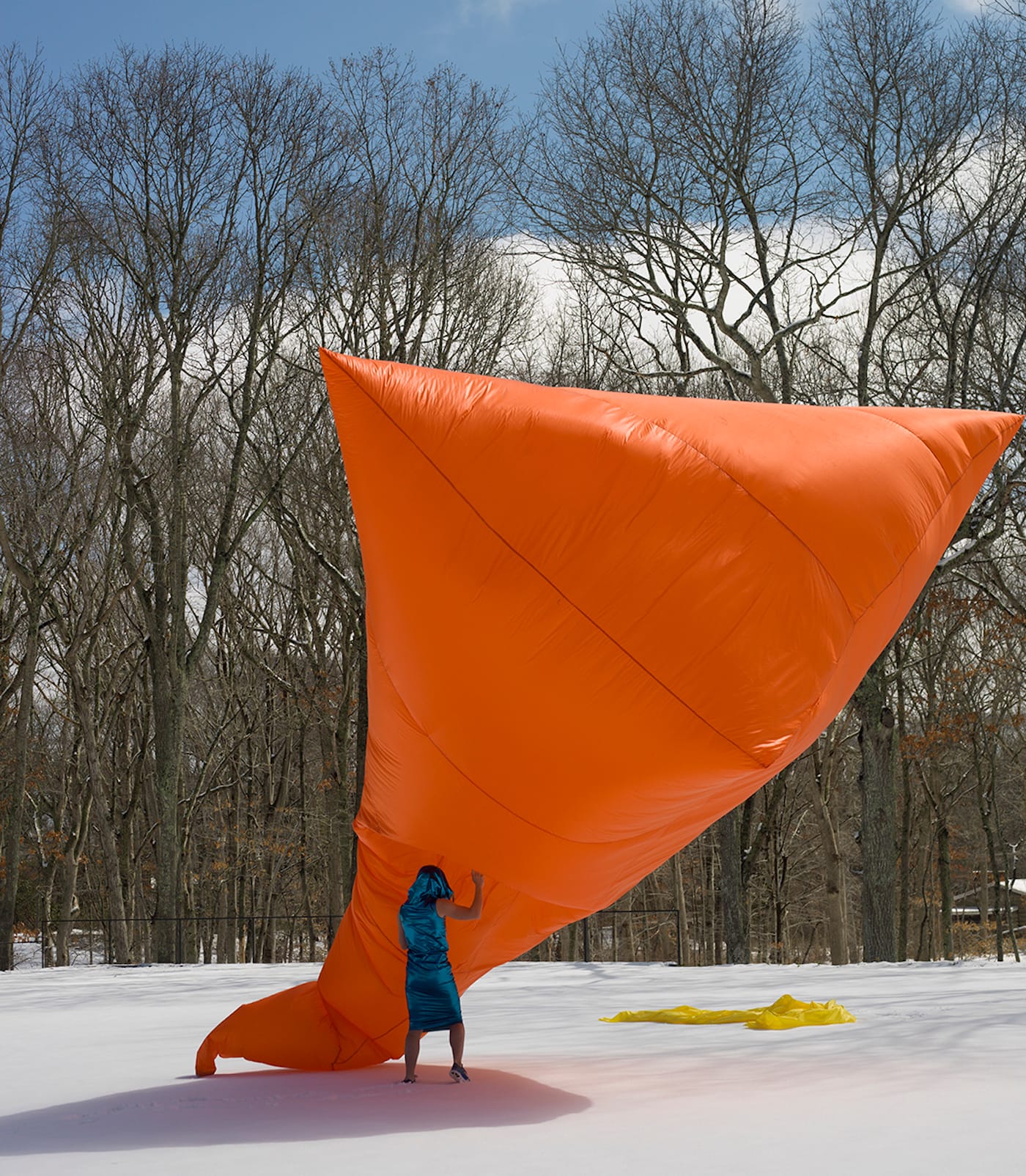 mauve-bird-with-yellow-teeth-red-feathers-green-feet-and-a-rose-belly-part_-blue-tamar-ettun-and-the-moving-company-2015