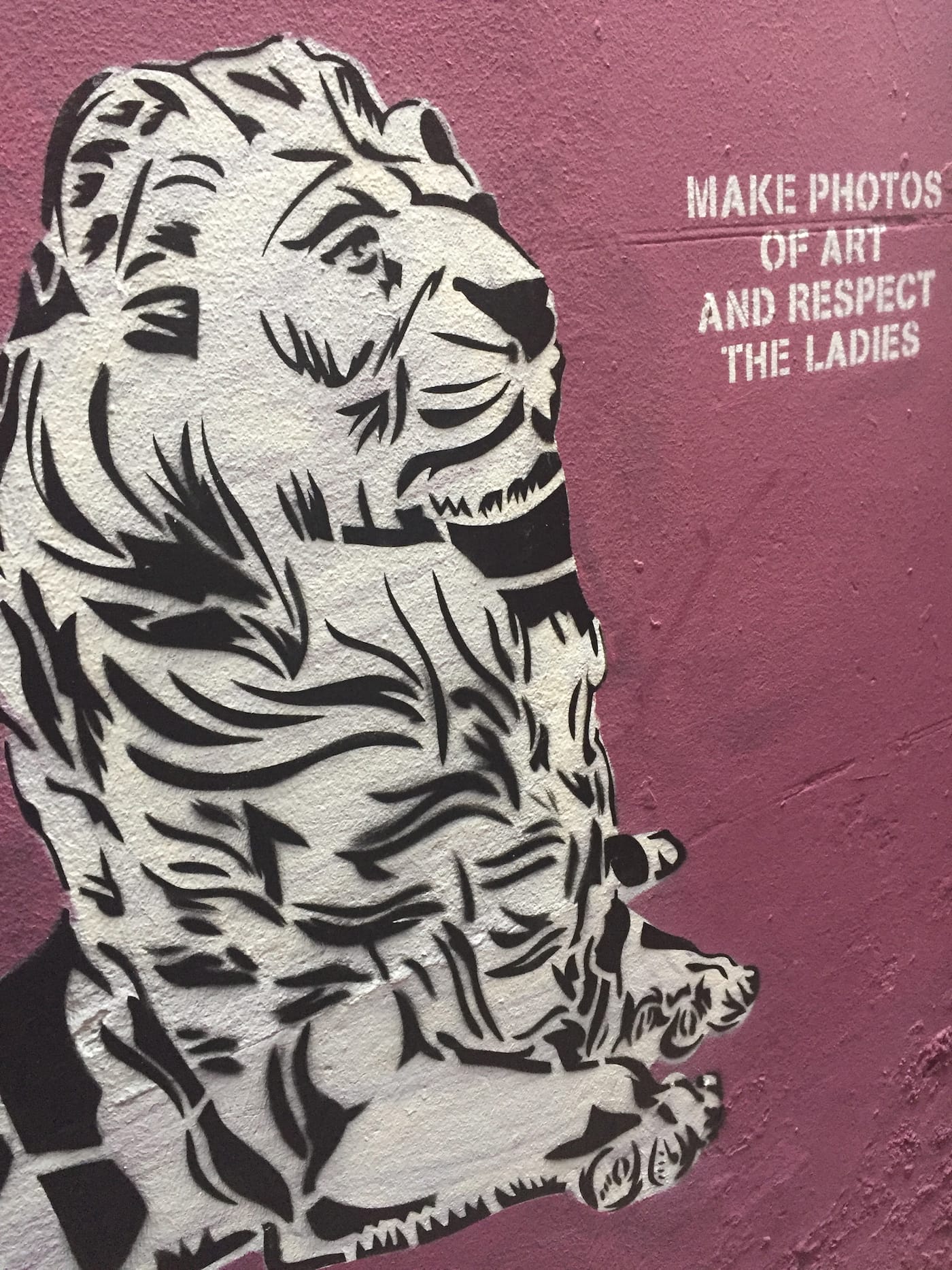 Partial view of Trompettersteeg with No Fucking Photos murals