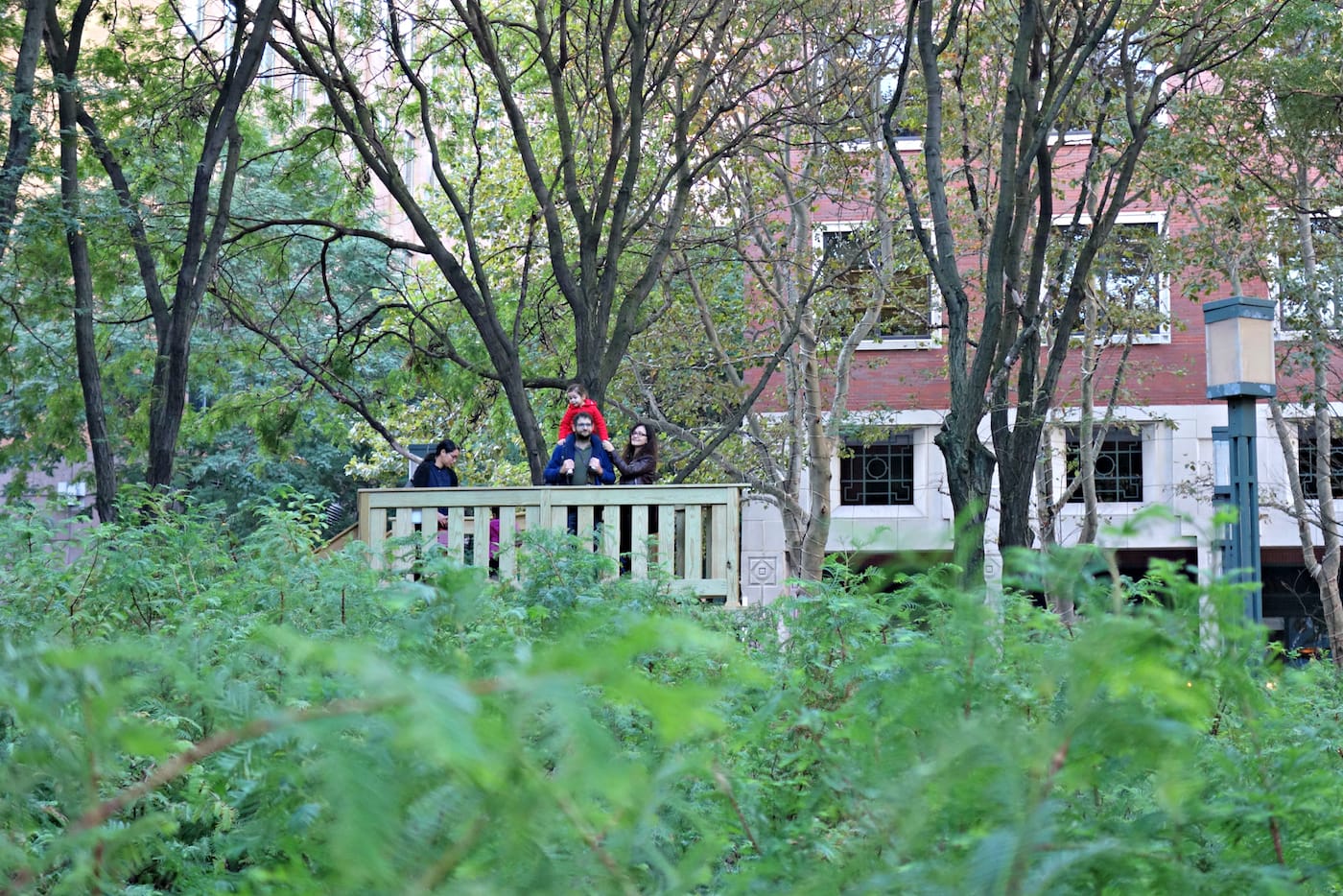 Installation view of 'Spencer Finch: Lost Man Creek' in the Metrotech Commons, Downtown Brooklyn