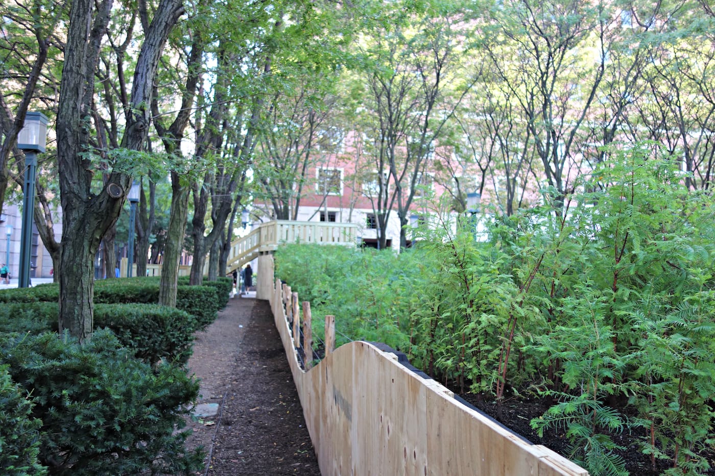 Installation view of 'Spencer Finch: Lost Man Creek' in the Metrotech Commons, Downtown Brooklyn