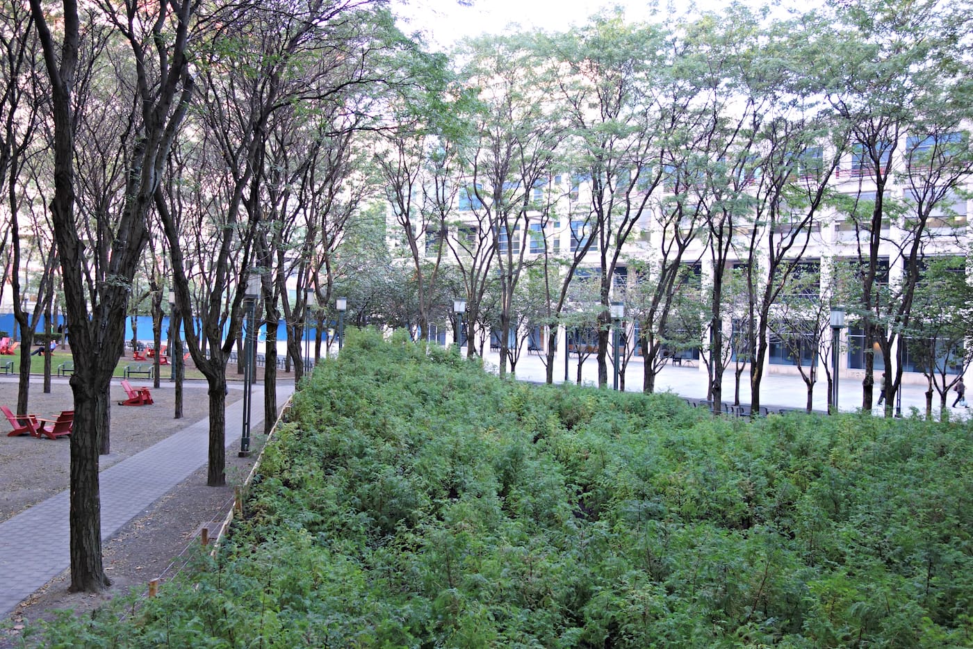 Installation view of 'Spencer Finch: Lost Man Creek' in the Metrotech Commons, Downtown Brooklyn
