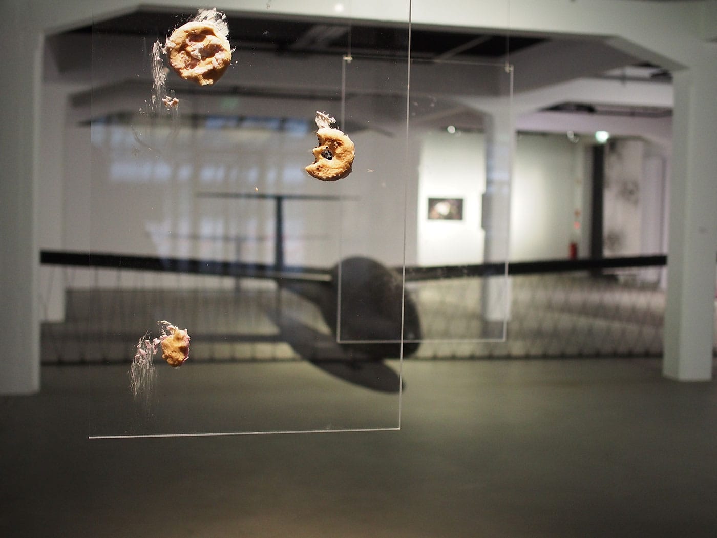 Addie Wagenknecht, partial installation view of Glass Ceiling series (2015) at HeK