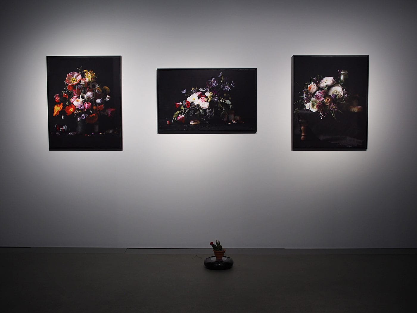 Addie Wagenknecht, Still Alive (2016)