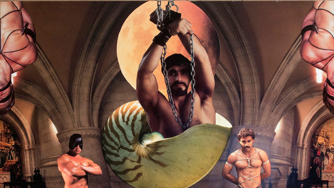 06_swann_smschool_detail