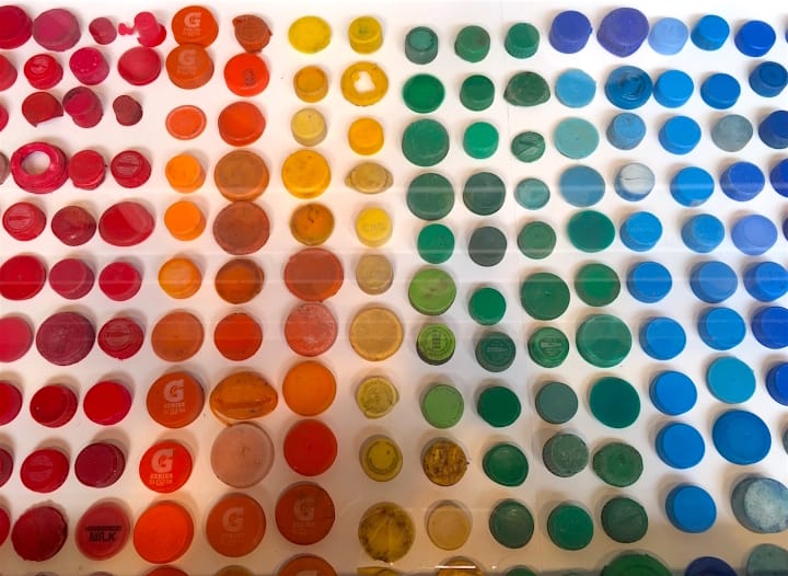 Mark Dion, "Memory Box" (detail) (2016) in The Library for the Birds of New York and Other Marvels at Tanya Bonakdar Gallery, New York (photo by Elisa Wouk Almino for Hyperallergic)