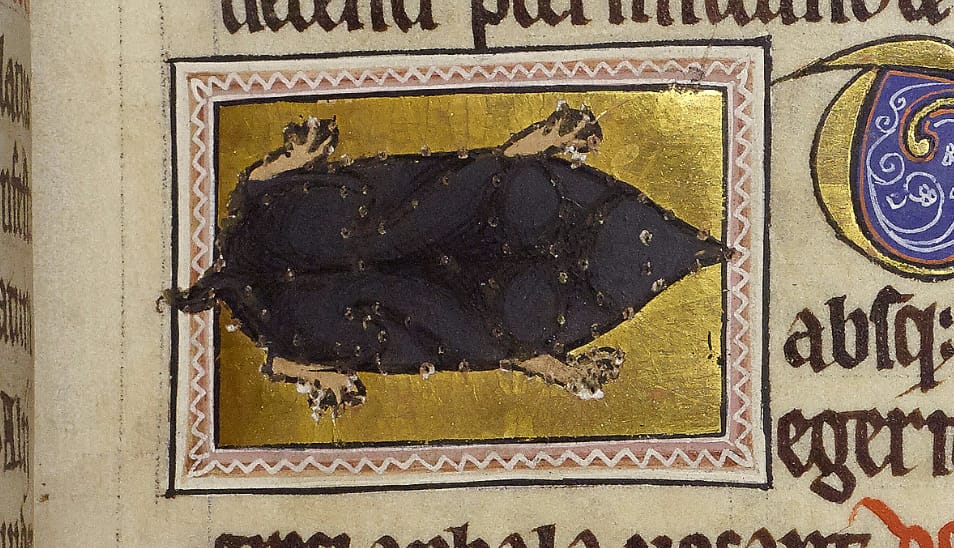 Detail of folio 24r showing a mole with pricking for pouncing
