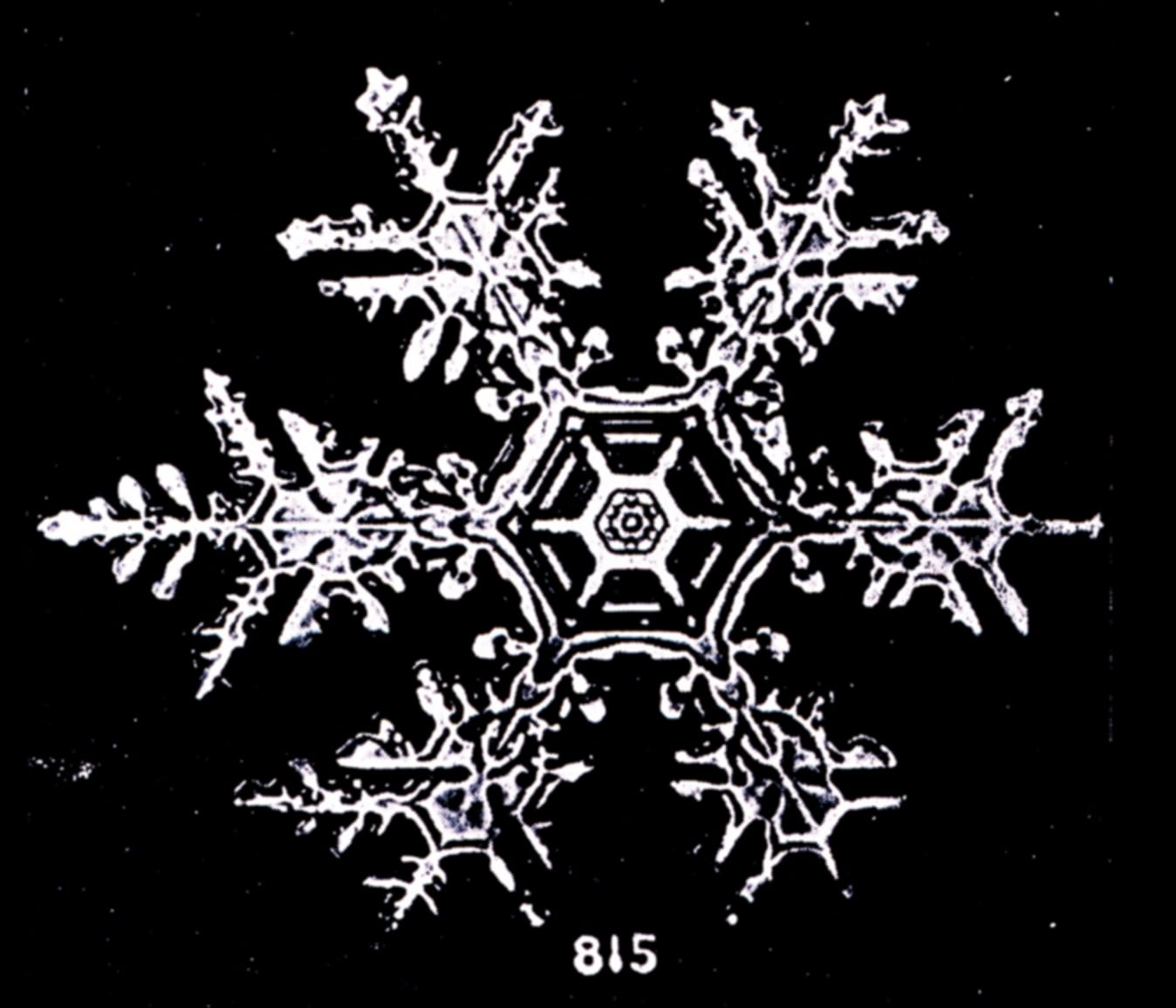 Snow flakes photographed by Wilson Bentley