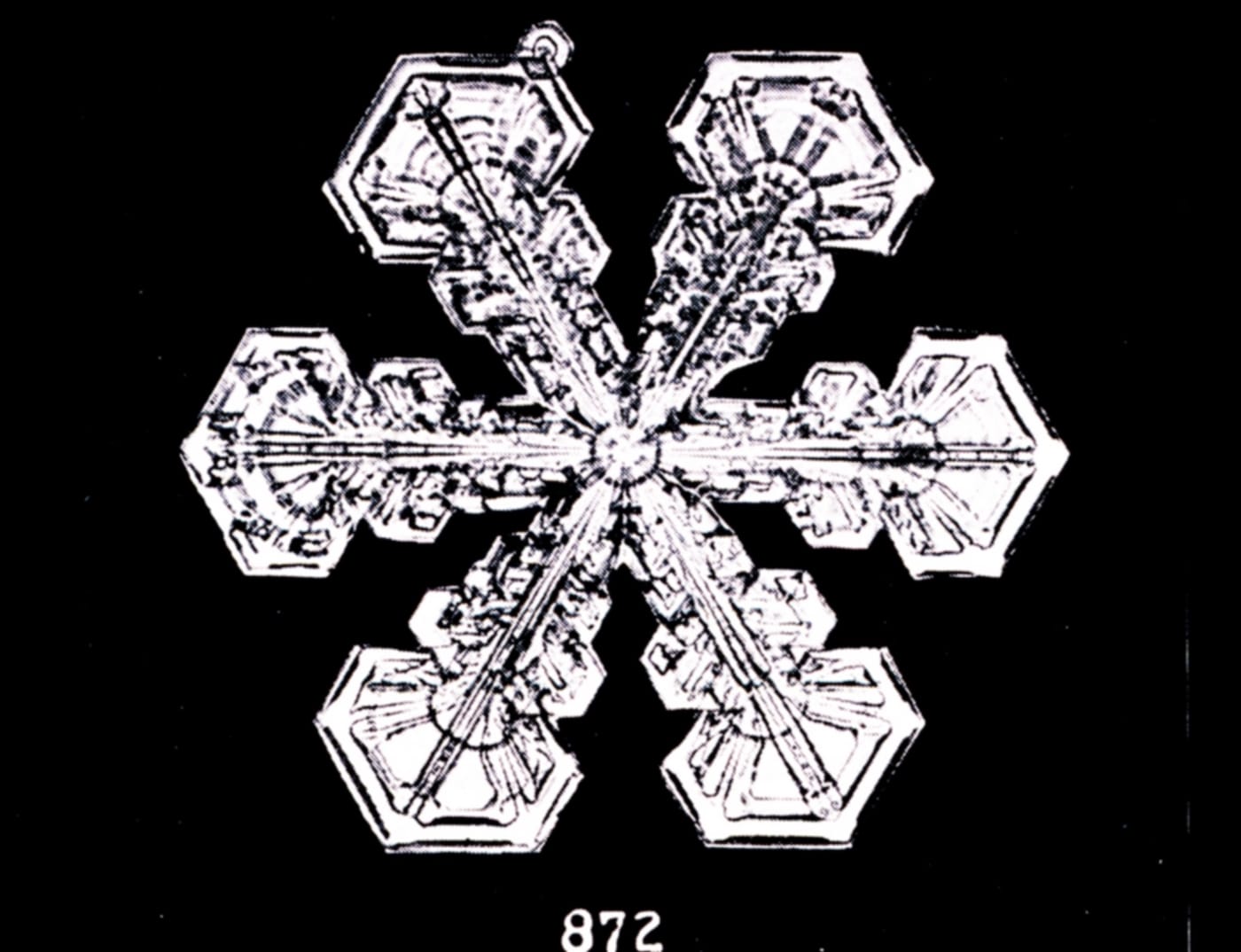 Snow flakes photographed by Wilson Bentley