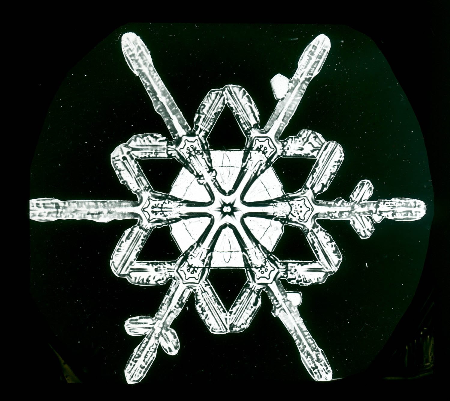Snowflake study by Wilson Bentley (nd) (via Schwerdtfeger Library, Space Science and Engineering Center, University of Wisconsin-Madison)