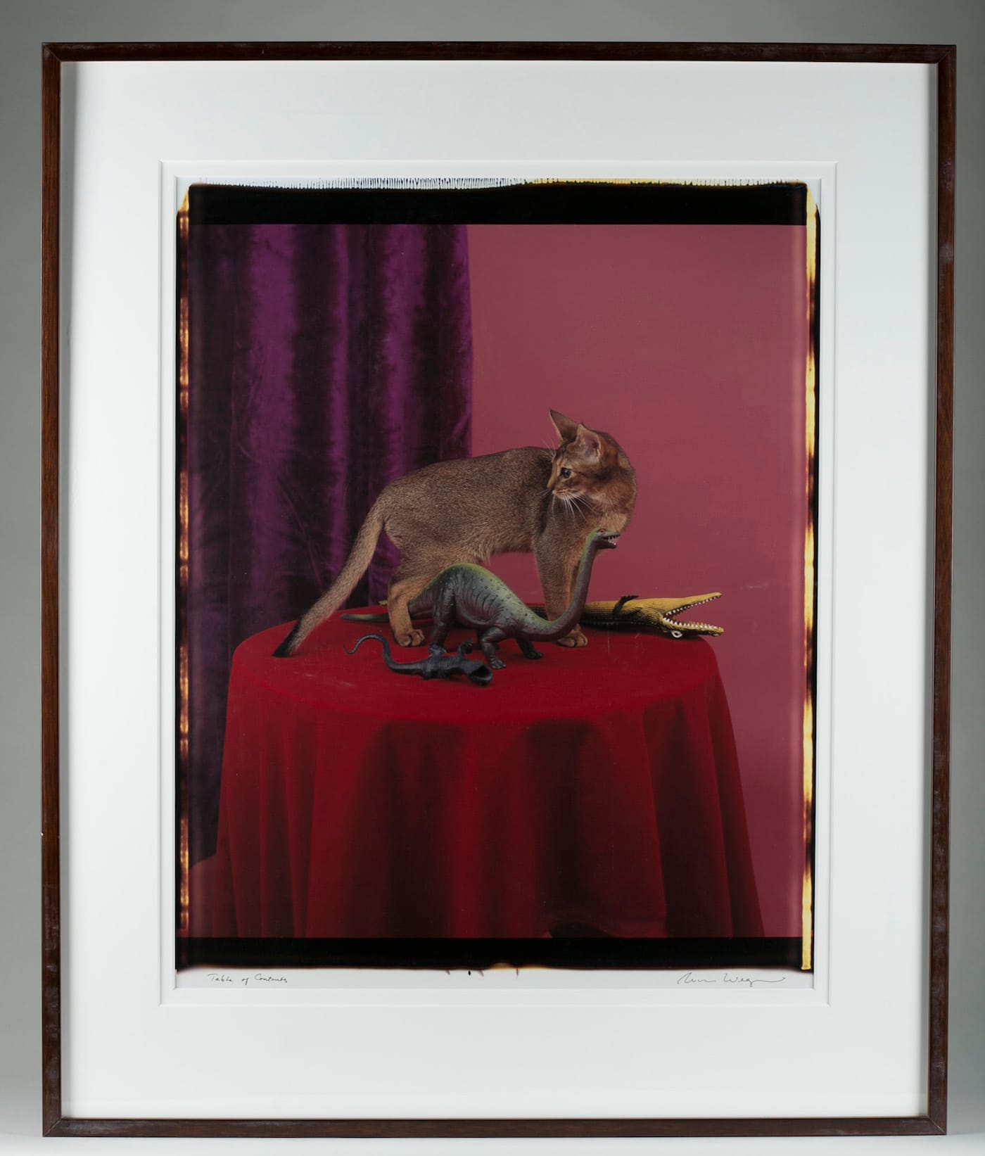 William Wegman, "Table of Contents" (c. 1987)