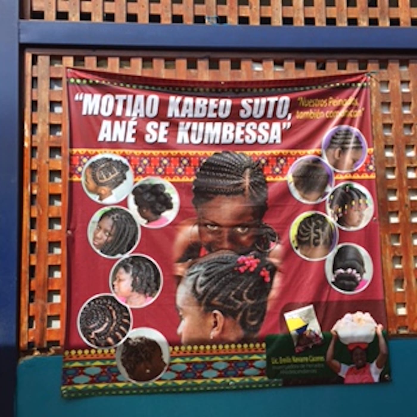 mt-alegria-palenque-2