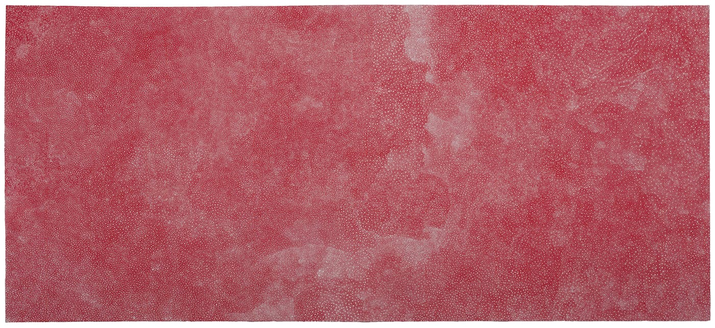 Angelina Pwerle, "Bush Plum" (2013) (all images courtesy of Newcomb Art Museum, Tulane University, New Orleans, and the artists)