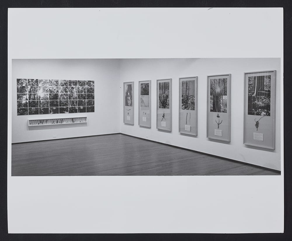 Alan Sonfist: 50 Years of Time Landscape