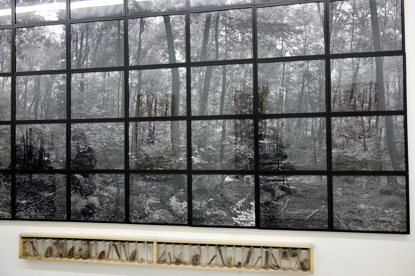 Installation view of 'Alan Sonfist: 50 Years of Time Landscape' at Alden Projects (photo by the author for Hyperallergic)