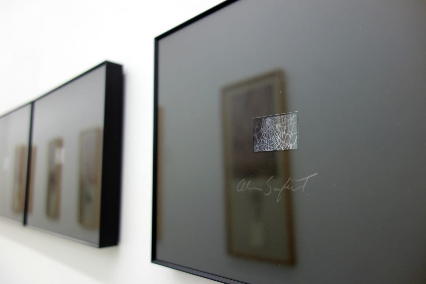 Installation view of 'Alan Sonfist: 50 Years of Time Landscape' at Alden Projects (photo by the author for Hyperallergic)