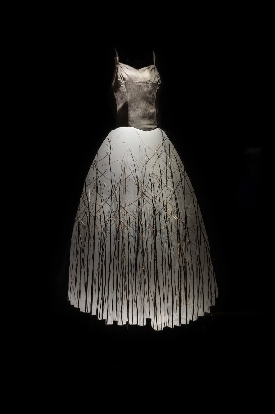 todd-murphy-murmuration-piney-woods2016-1