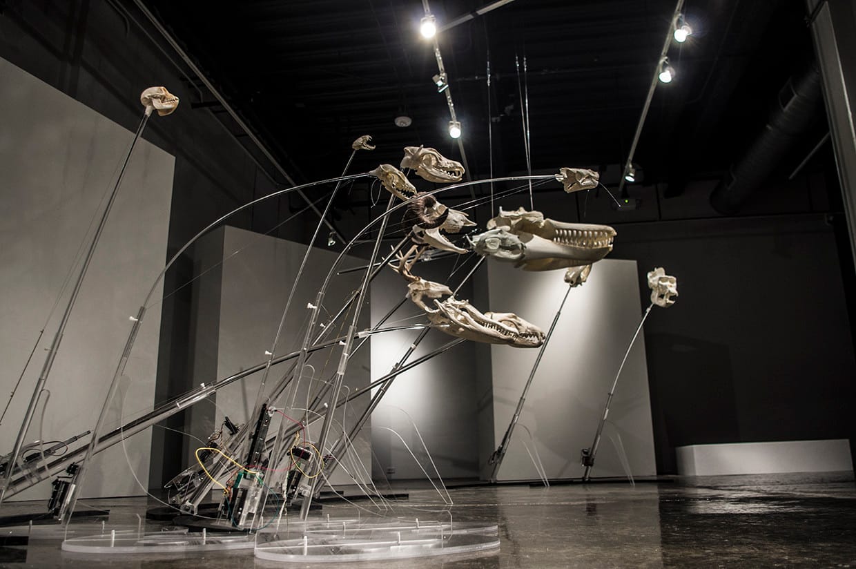 universityofmichigan-hyp-sp