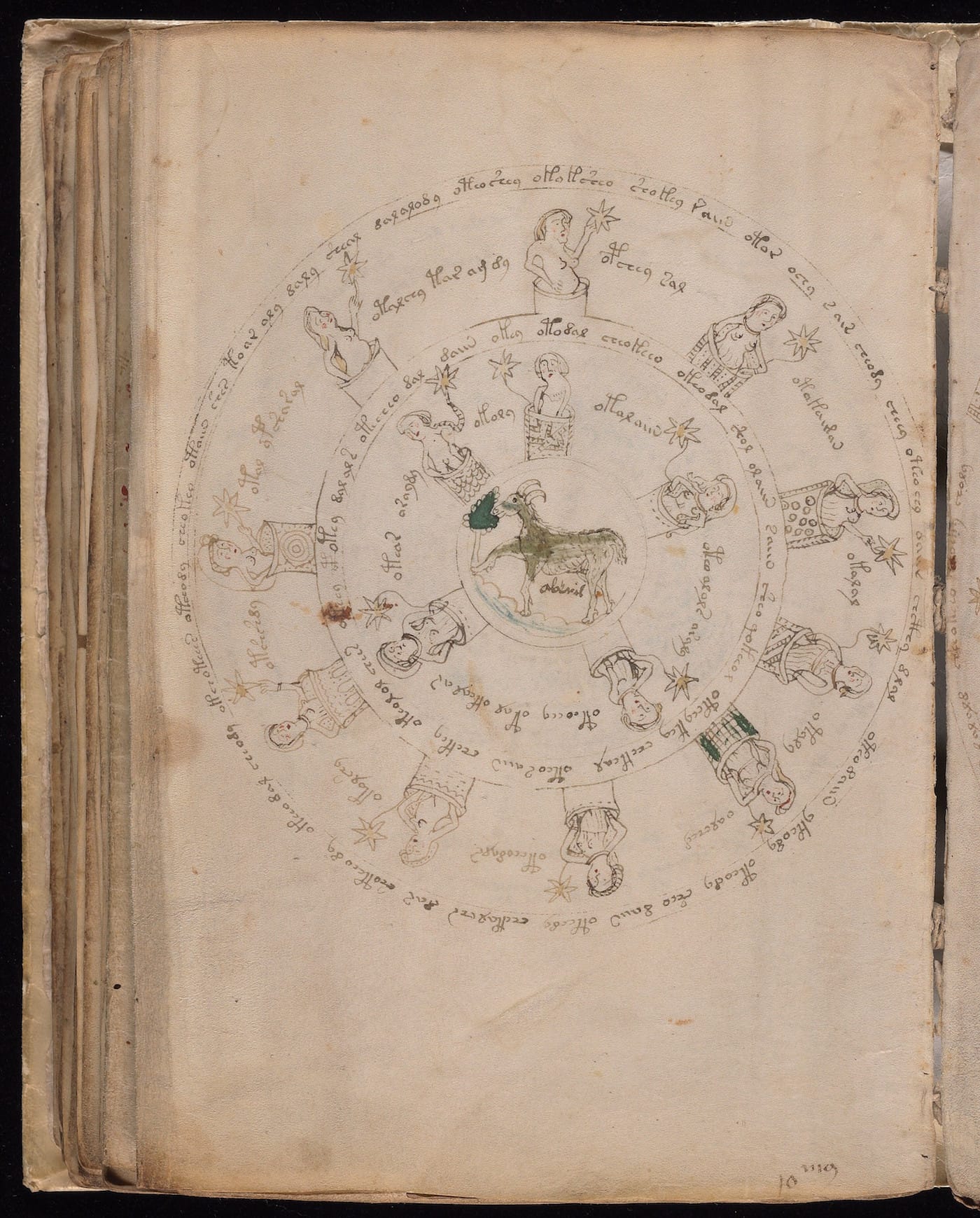 Page from the "Voynich Manuscript" (15th-16th century) (courtesy Beinecke Rare Book & Manuscript Library, Yale University)