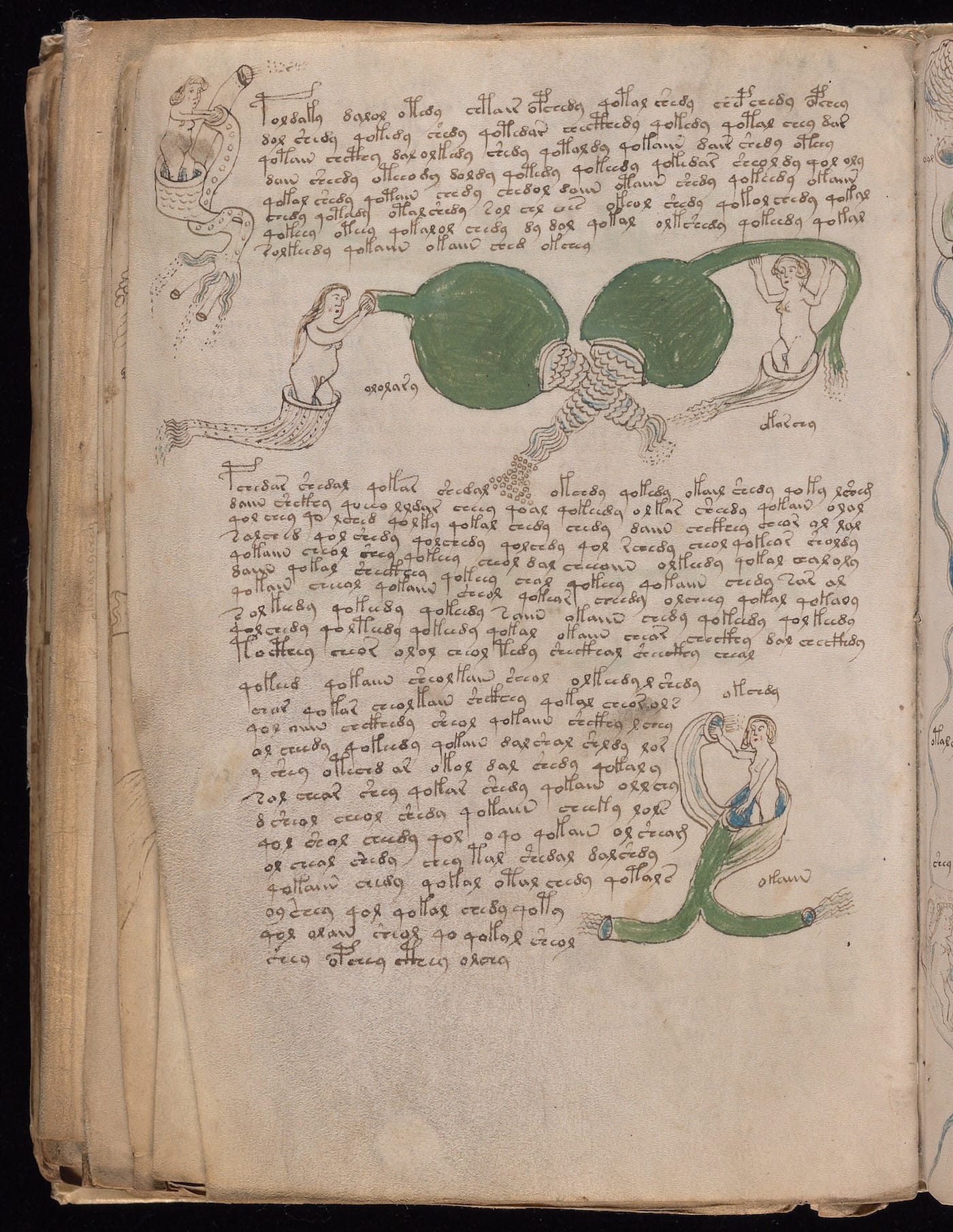 Page from the "Voynich Manuscript" (15th-16th century) (courtesy Beinecke Rare Book & Manuscript Library, Yale University)
