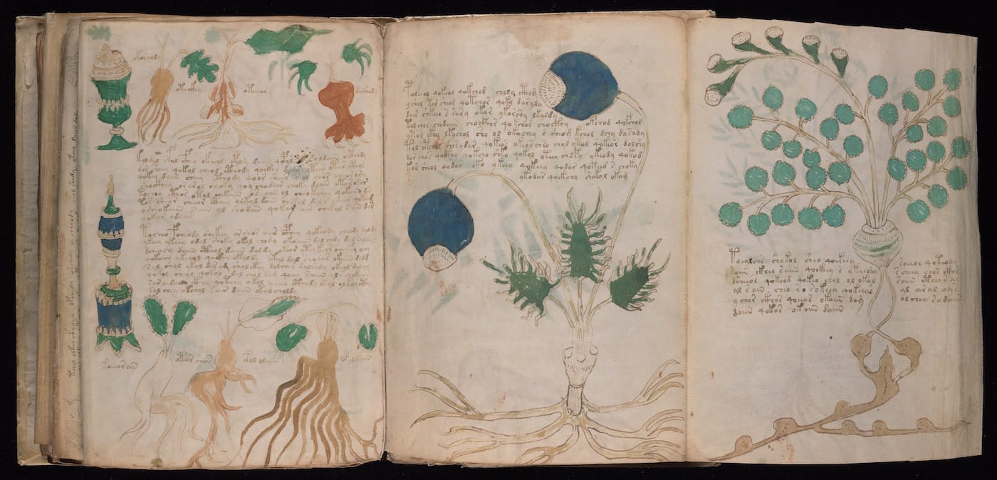 Page from the "Voynich Manuscript" (15th-16th century) (courtesy Beinecke Rare Book & Manuscript Library, Yale University)