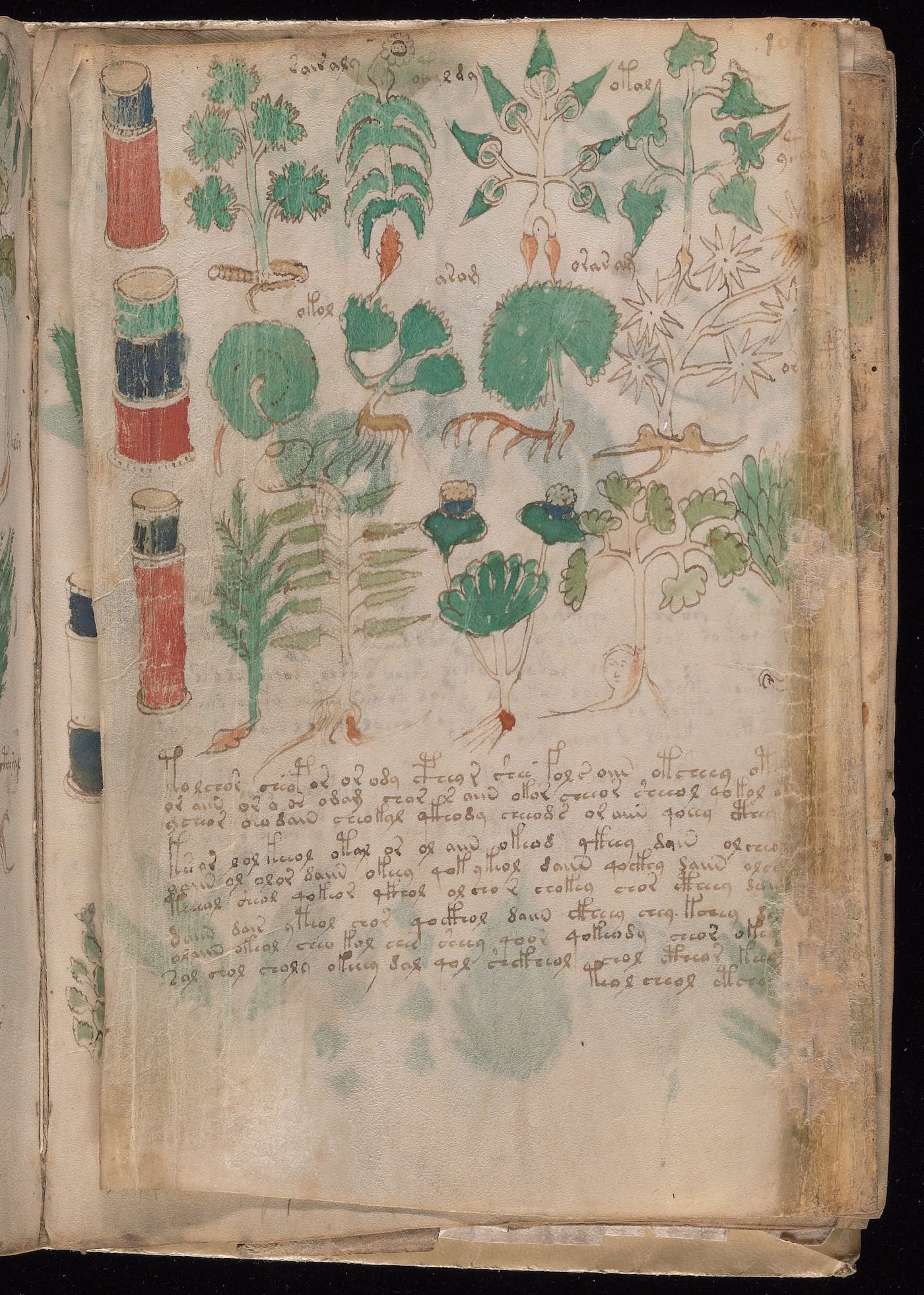 Page from the "Voynich Manuscript" (15th-16th century) (courtesy Beinecke Rare Book & Manuscript Library, Yale University)