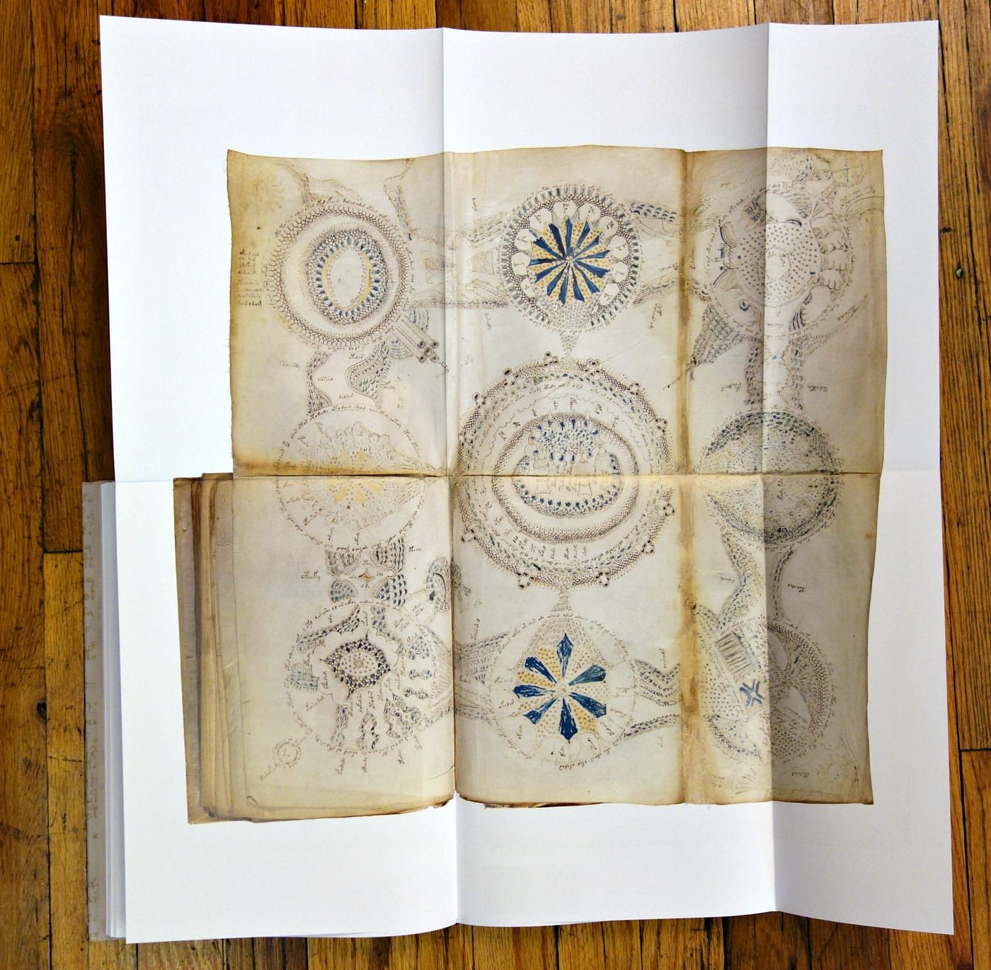 Pages from 'The Voynich Manuscript' (photo of the book for Hyperallergic)