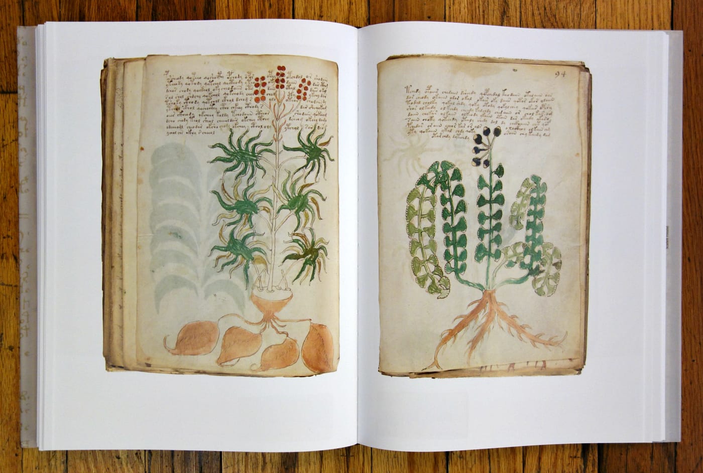 Pages from 'The Voynich Manuscript' (photo of the book for Hyperallergic)