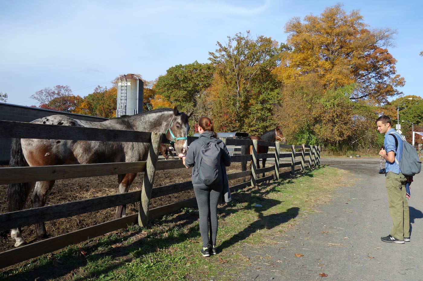 Matthew Jensen's Wonder Walk