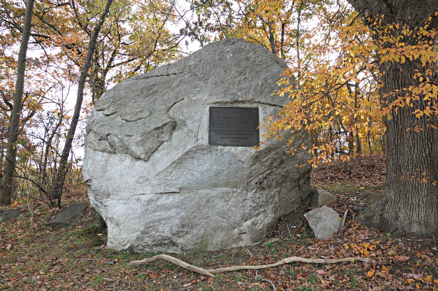 Matthew Jensen's Wonder Walk