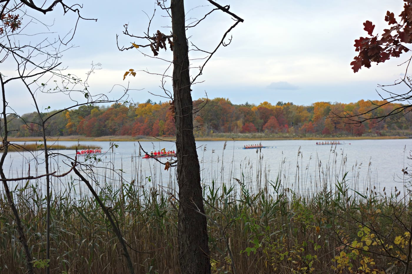 Matthew Jensen's Wonder Walk