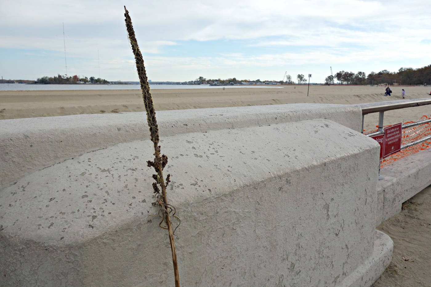 Matthew Jensen's Wonder Walk