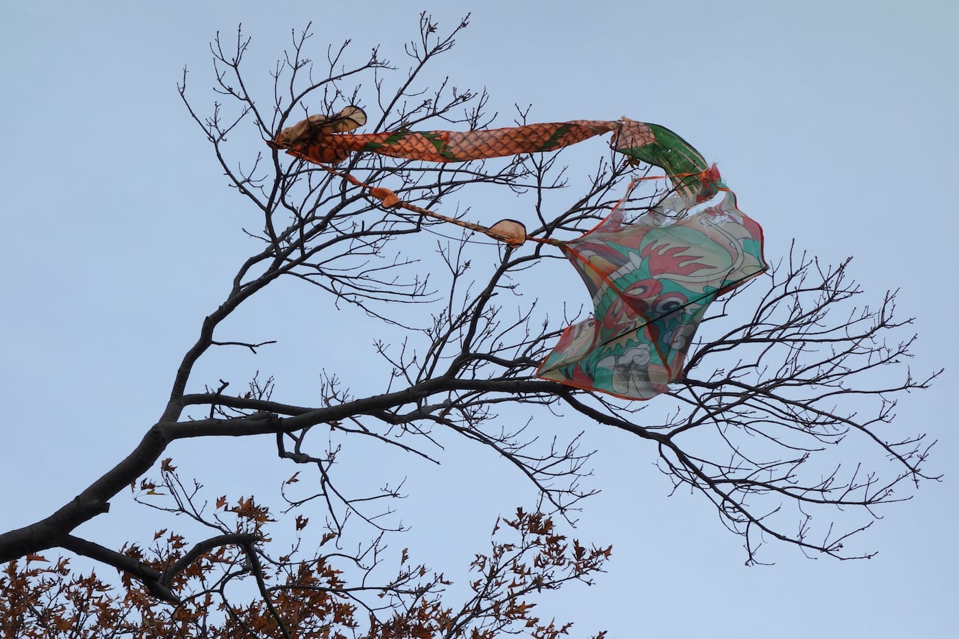 Matthew Jensen's Wonder Walk