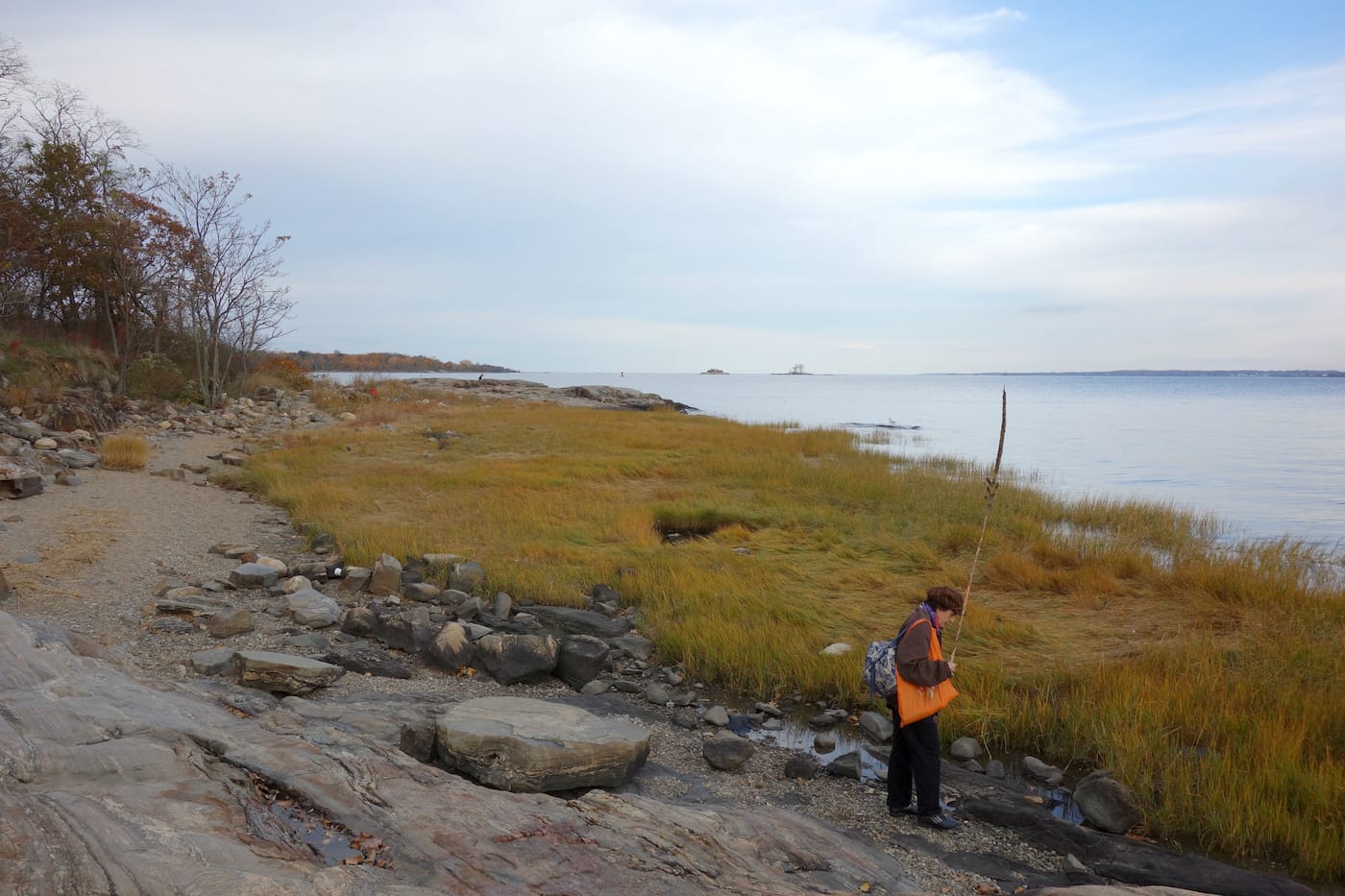 Matthew Jensen's Wonder Walk