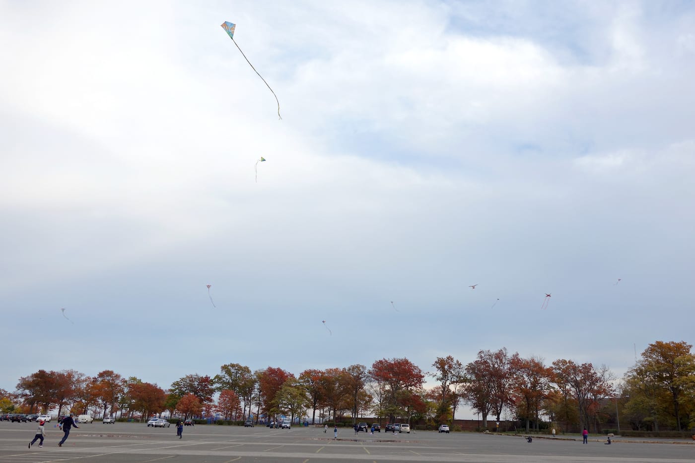 Matthew Jensen's Wonder Walk