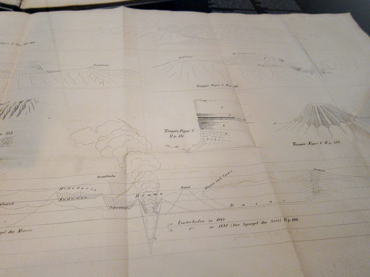 Franz Wilhelm Junghuhn, page from "Java, seine Gestalt, Pflanzendecke und innere Bauart [Images of Light and Shadow from Java's interior]" (1854)