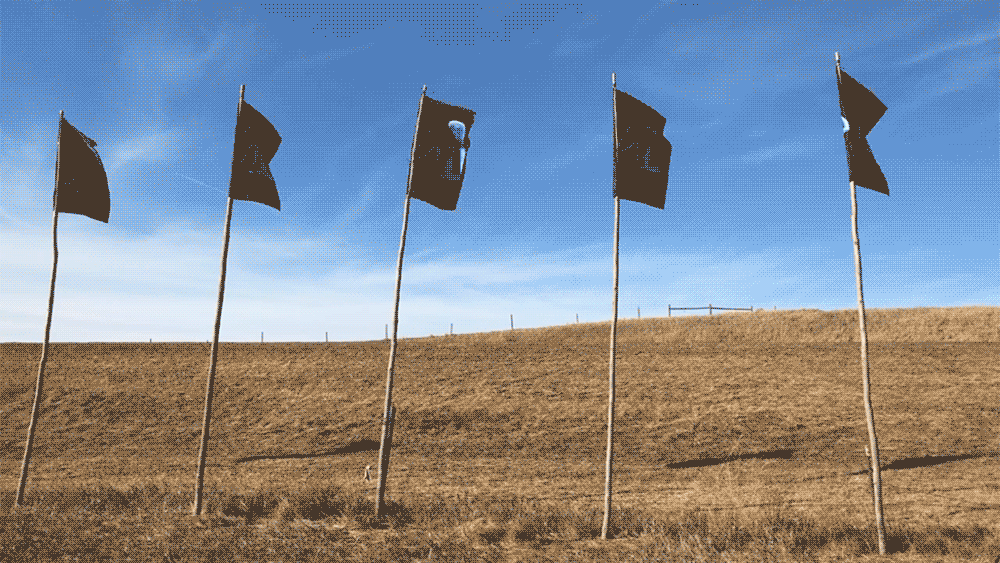 Ahmed Mater's "Evolution of Man" flags on a hill by the Oceti Sekawin Camp at Standing Rock, North Dakota (all images by the author for Hyperallergic unless otherwise noted)