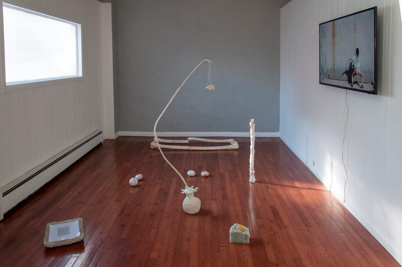 Catalina Ouyang, an elegy for Marco installation view at Millitzer Gallery, St. Louis, Missouri