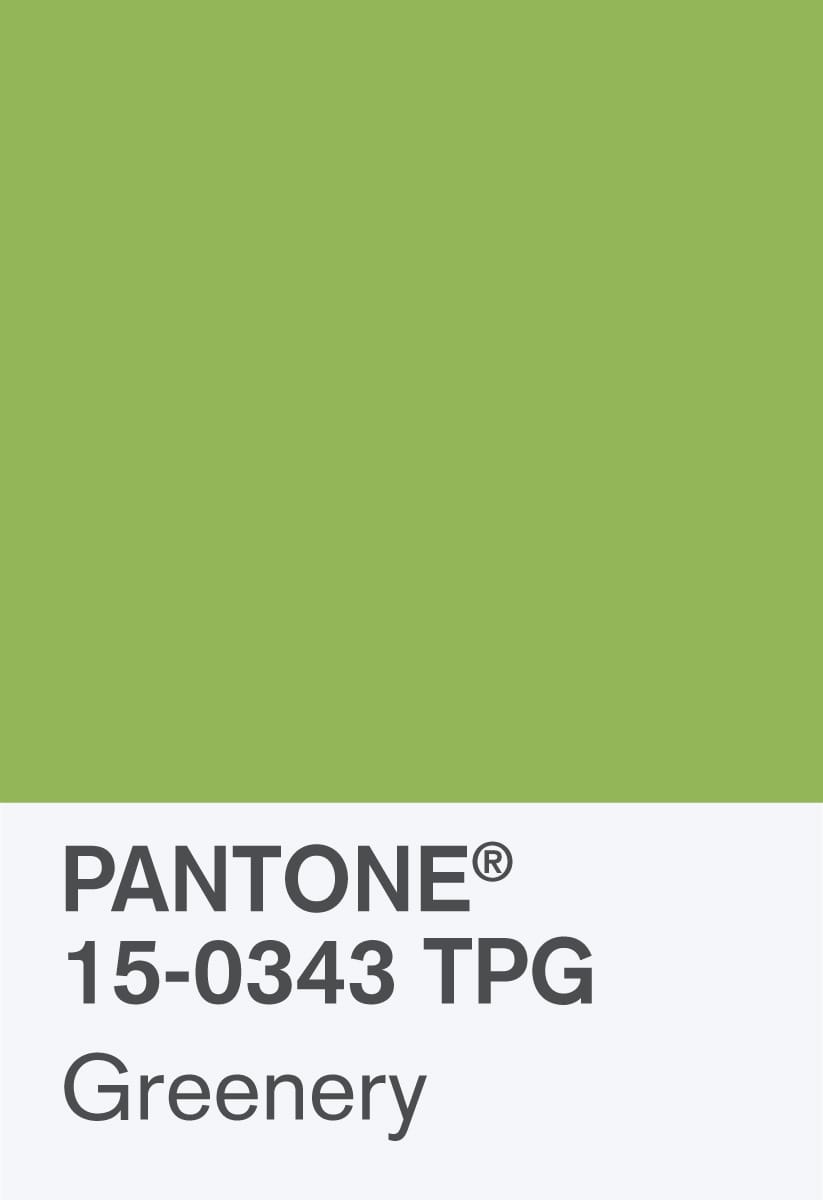 PantoneChipSize