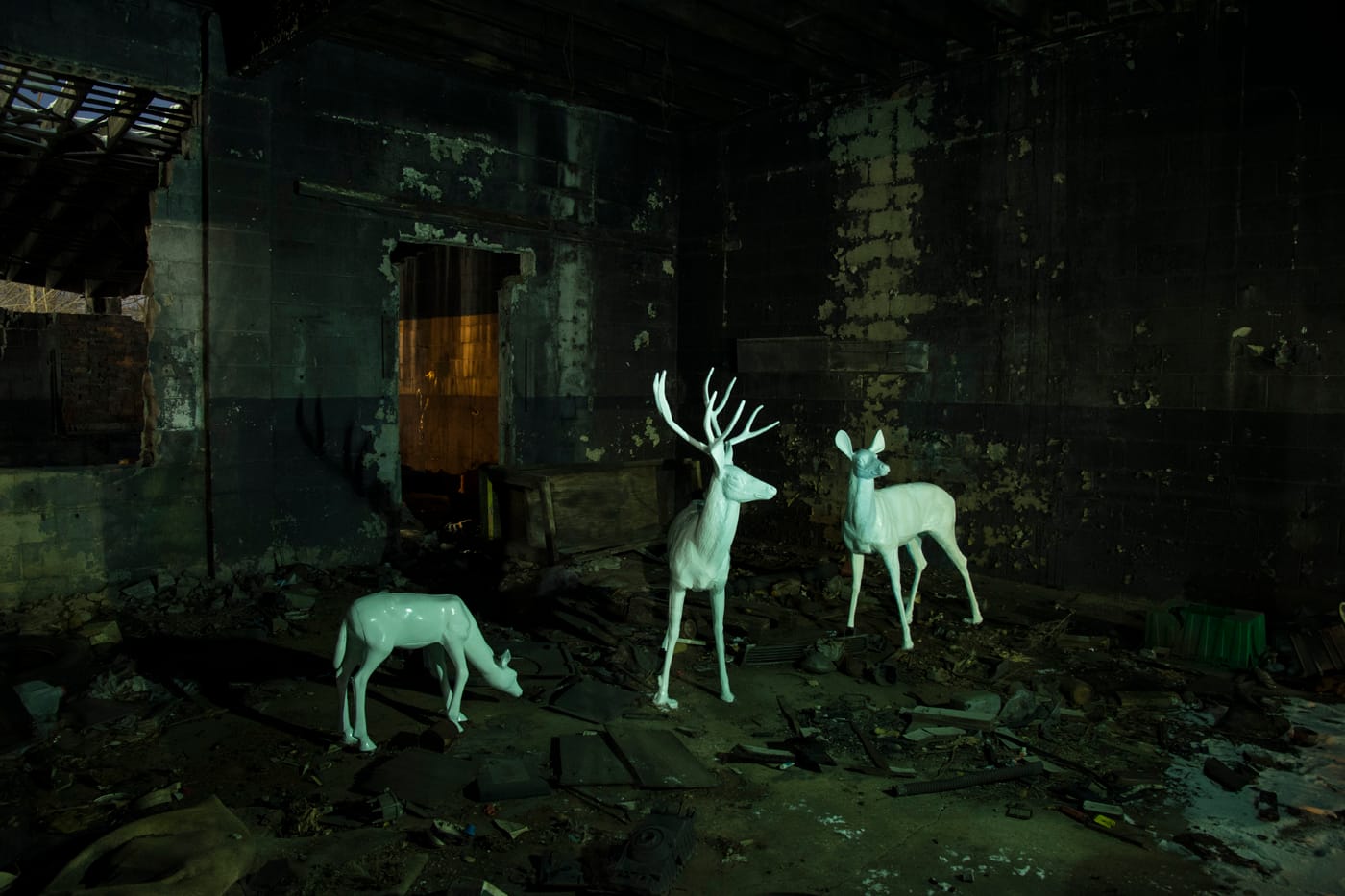Eastside deer installation gets things glowing. (image by Jon DeBoer)