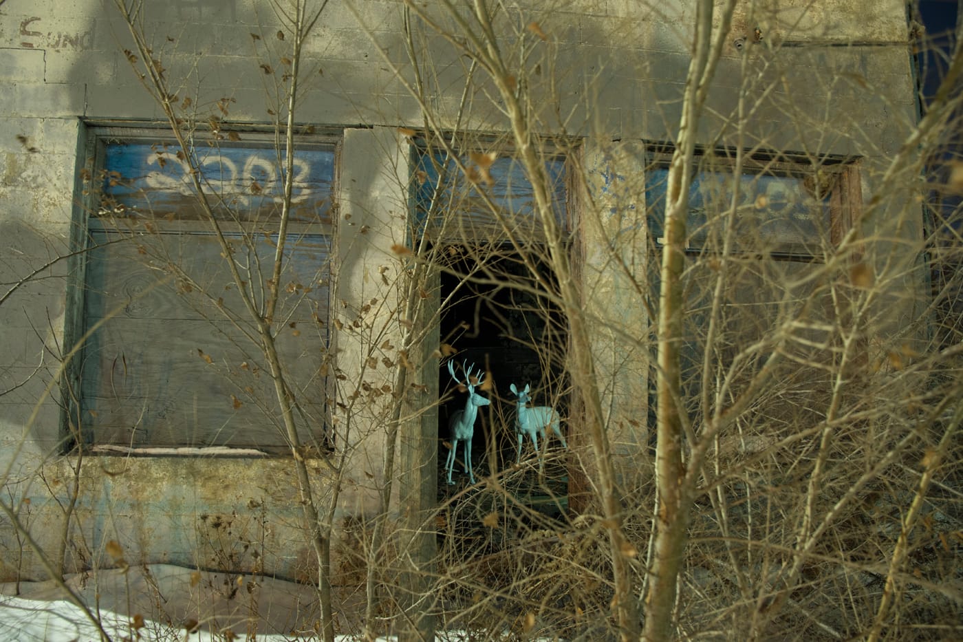 The plan for permanent installation offers opportunity for chance encounters and uncanny visuals. (image by Jon DeBoer)