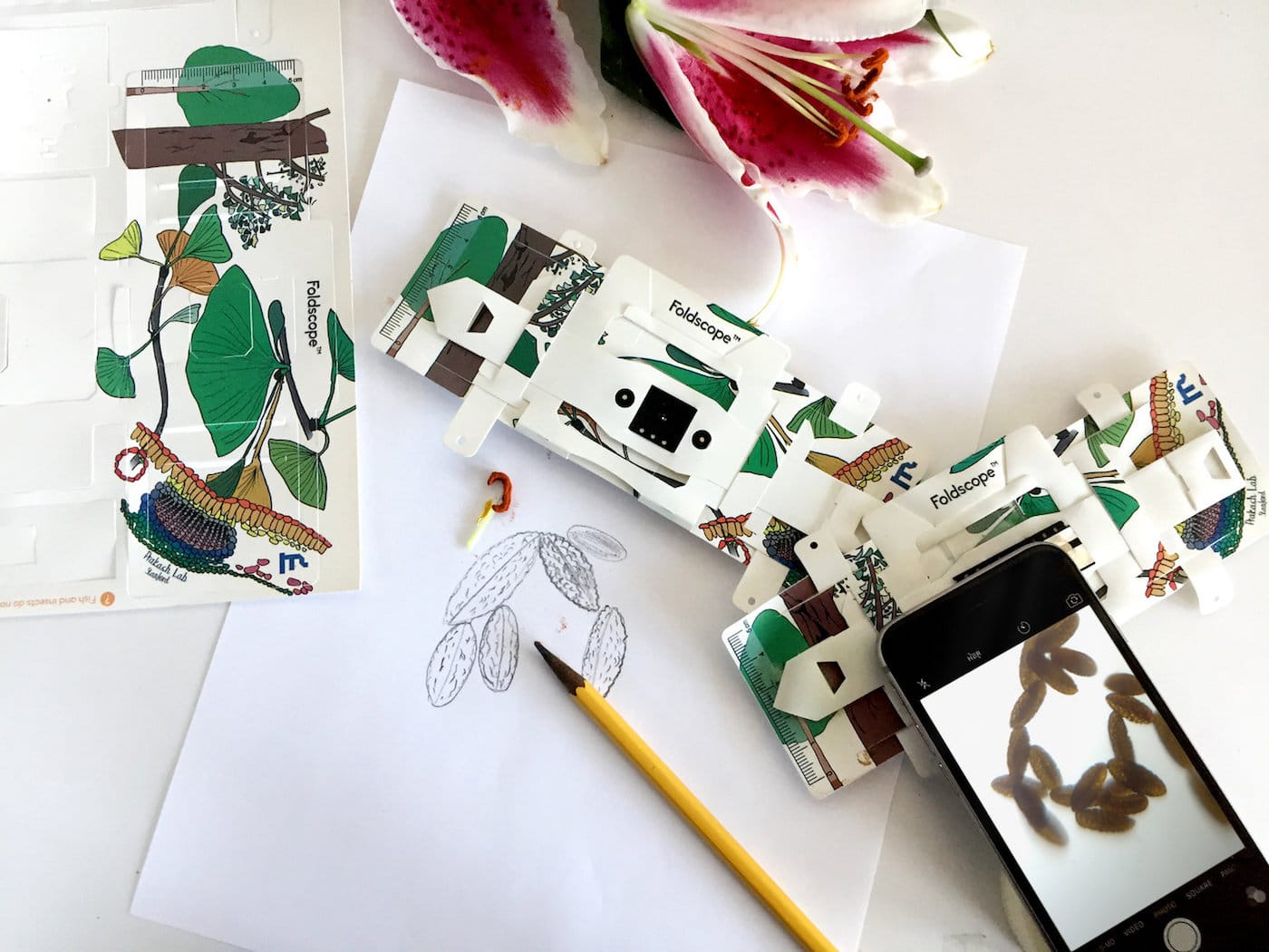 Foldscope: The Origami Paper Microscope (courtesy Foldscope)